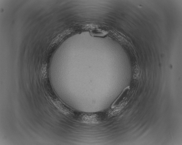 X0000081370560200702020208