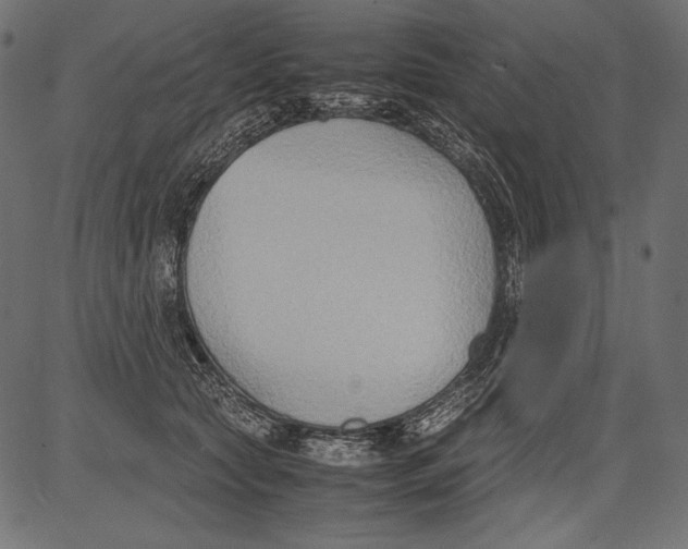 X0000081370561200702020208