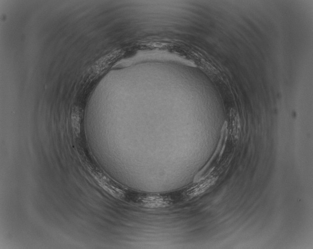 X0000081370562200702020208