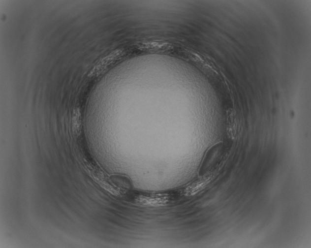 X0000081370563200702020208