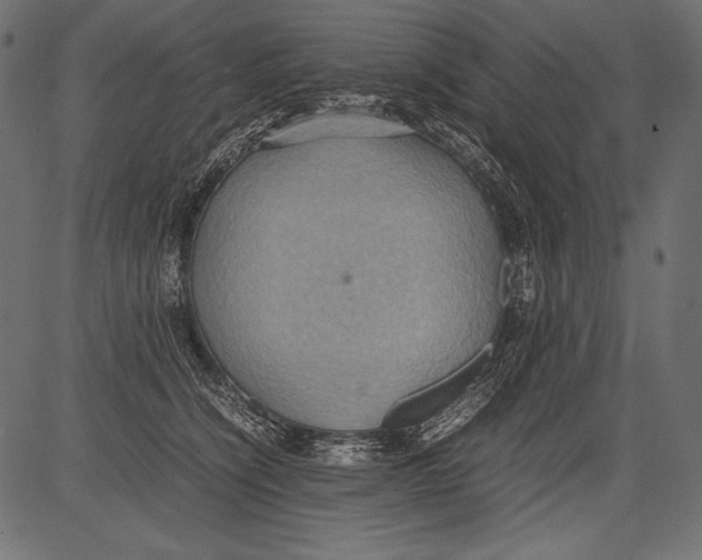 X0000081370564200702020208