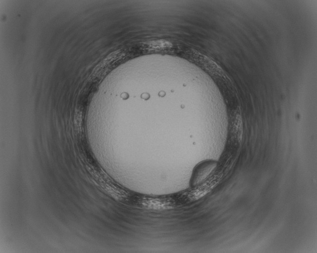 X0000081370565200702020208