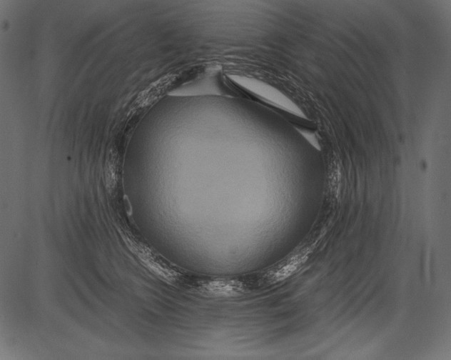 X0000081370566200702020208