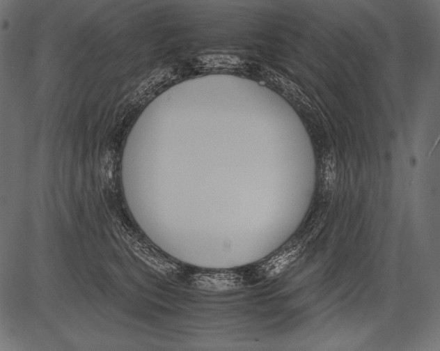 X0000081370567200702020208