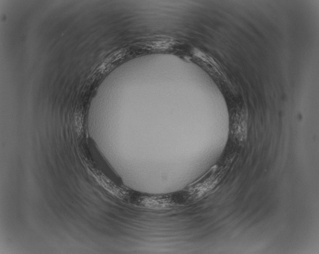 X0000081370568200702020208