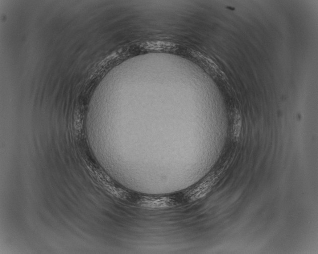 X0000081370569200702020208