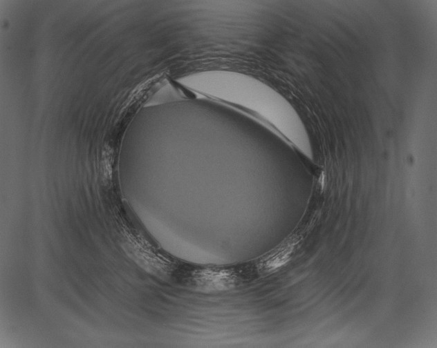 X0000081370570200702020208