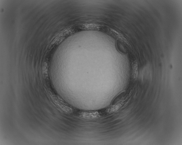 X0000081370571200702020208