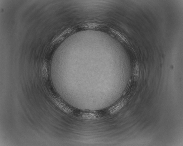 X0000081370572200702020208