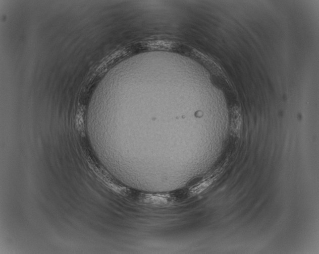 X0000081370573200702020208