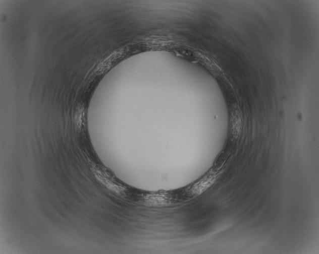 X0000081370574200702020208