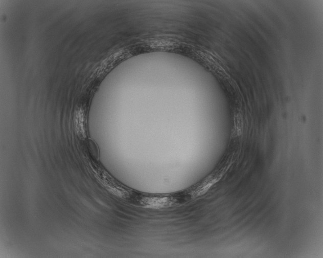 X0000081370575200702020208