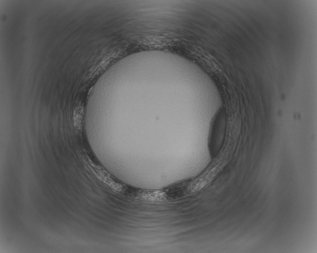 X0000081370576200702020208