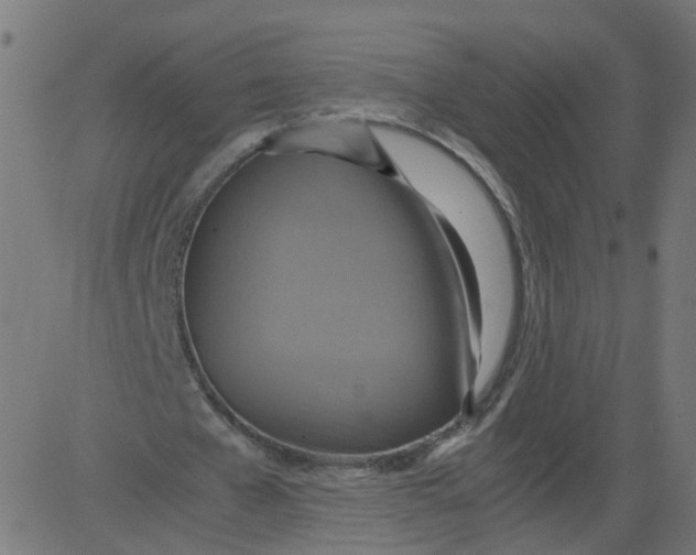 X0000081370577200702020207