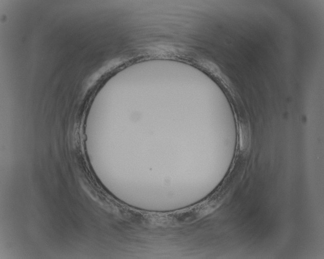 X0000081370579200702020207