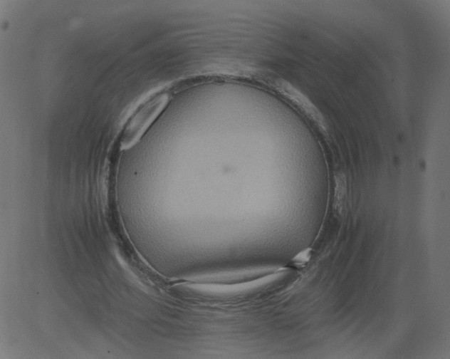 X0000081370580200702020207