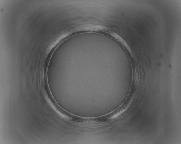 X0000081370581200702020207