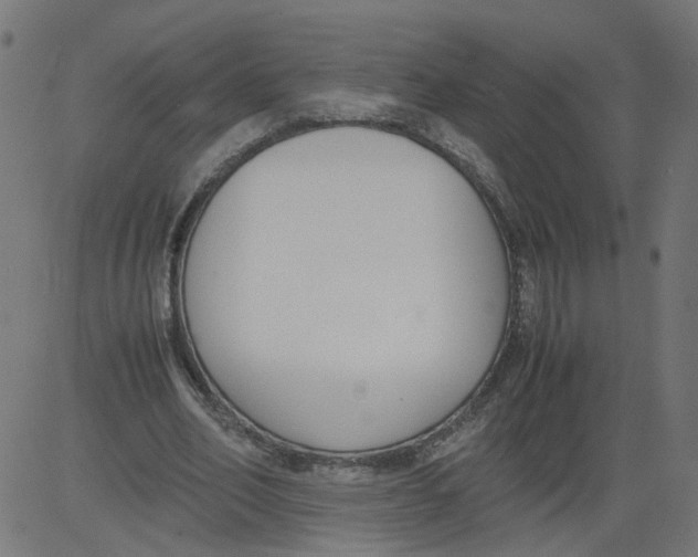 X0000081370582200702020207