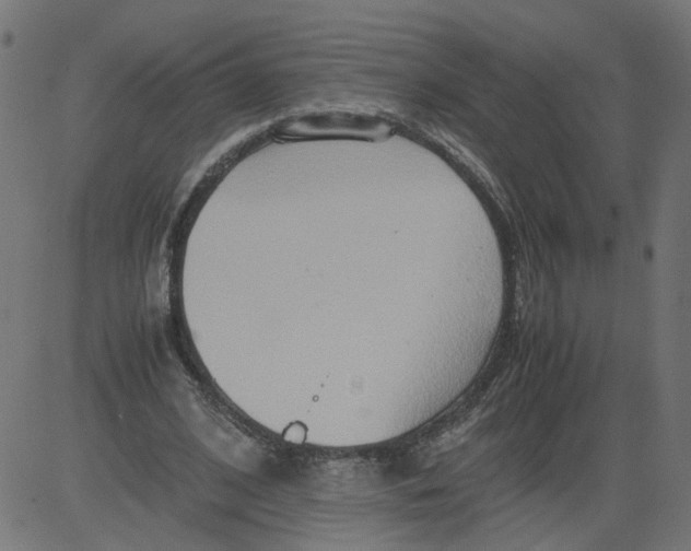 X0000081370584200702020207