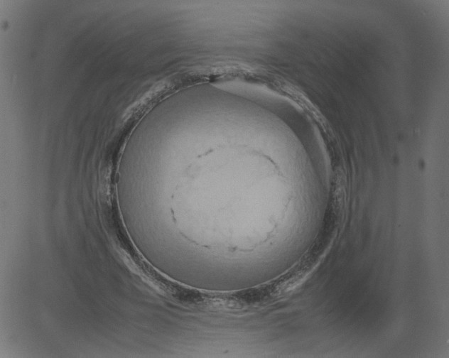 X0000081370585200702020207