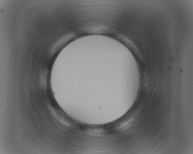 X0000081370586200702020207