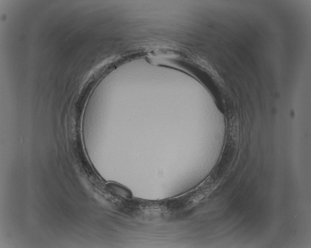 X0000081370587200702020207