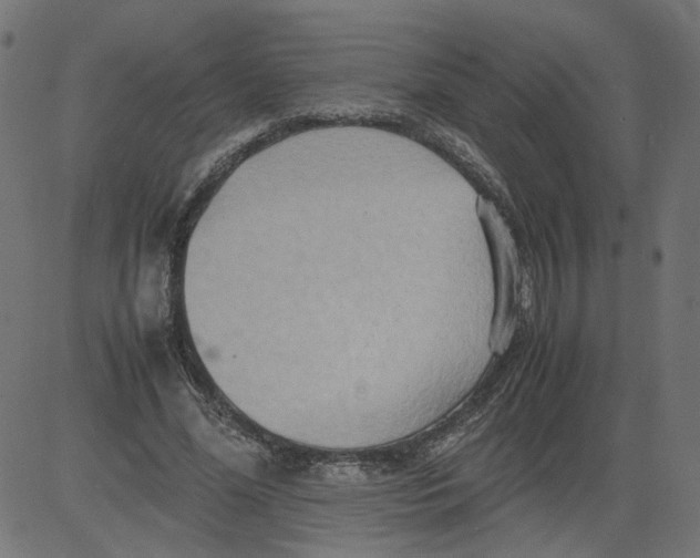 X0000081370588200702020207