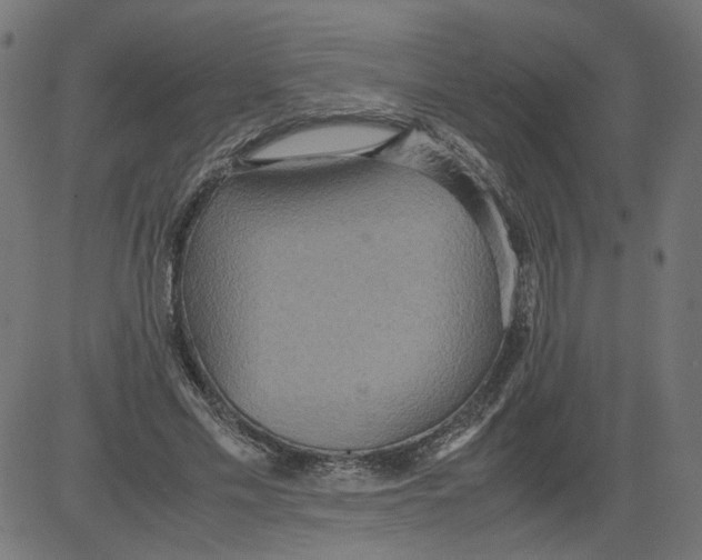 X0000081370589200702020207