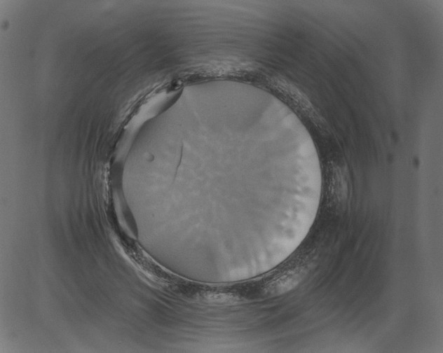 X0000081370590200702020207