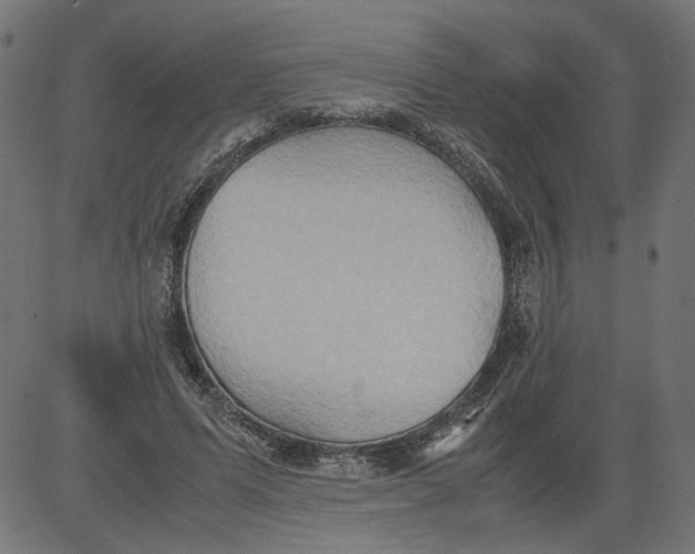 X0000081370591200702020207