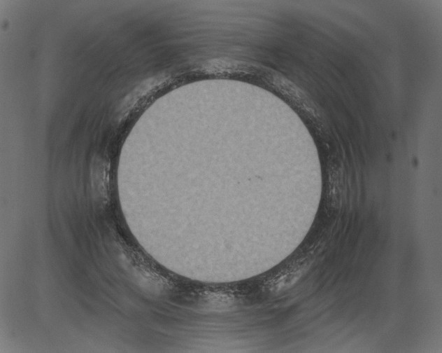 X0000081370592200702020207