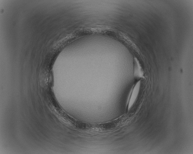 X0000081370593200702020207