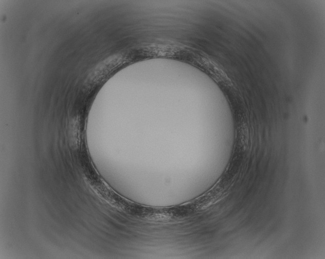 X0000081370594200702020207