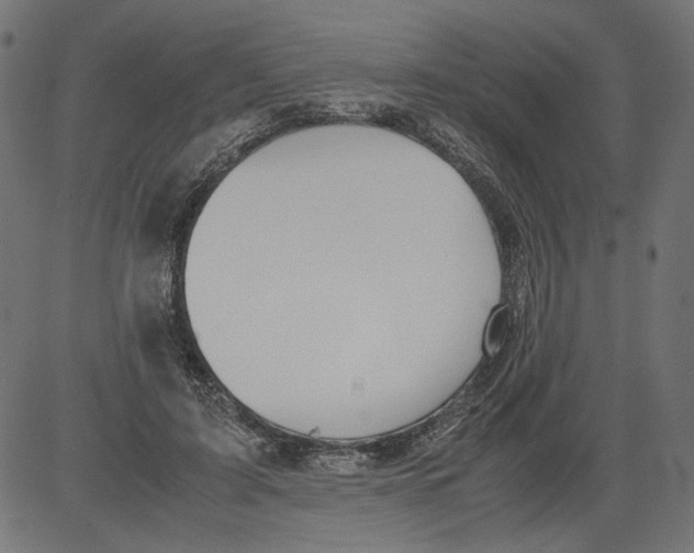 X0000081370595200702020207