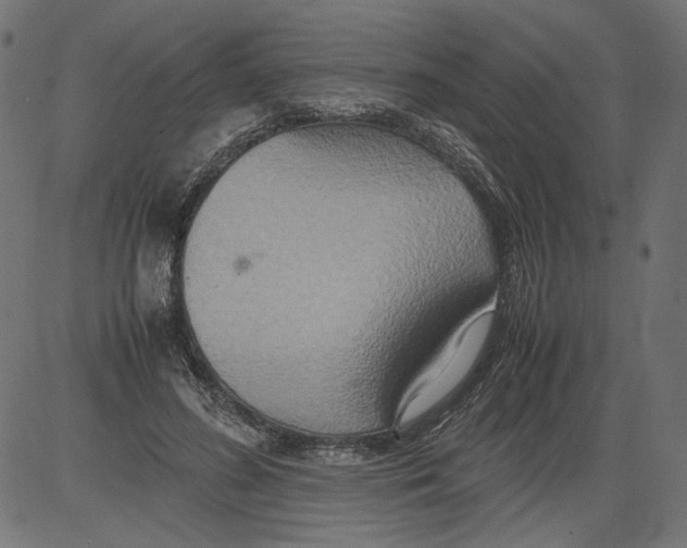 X0000081370596200702020207