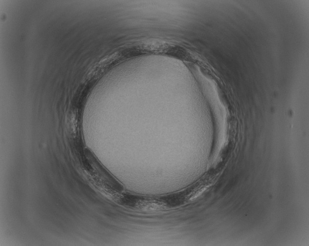 X0000081370597200702020207