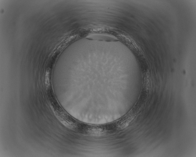 X0000081370598200702020207