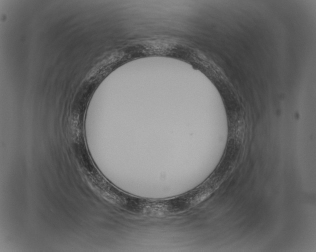 X0000081370599200702020207