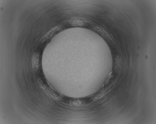 X0000081370600200702020207