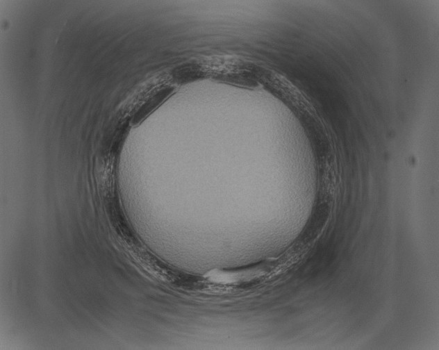 X0000081370601200702020207