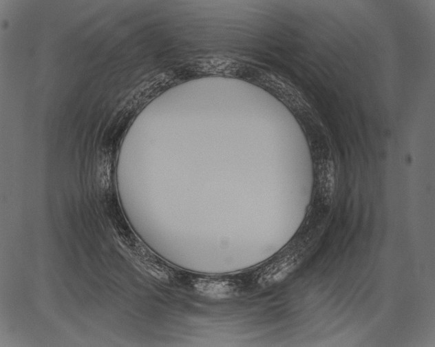 X0000081370602200702020207