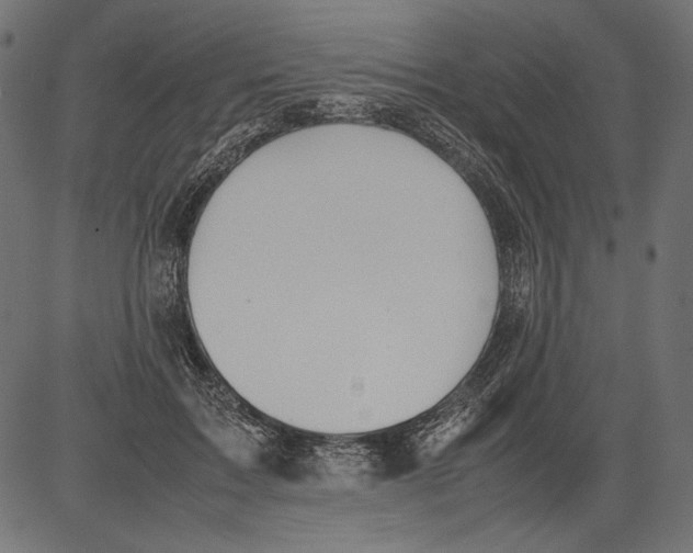 X0000081370603200702020207