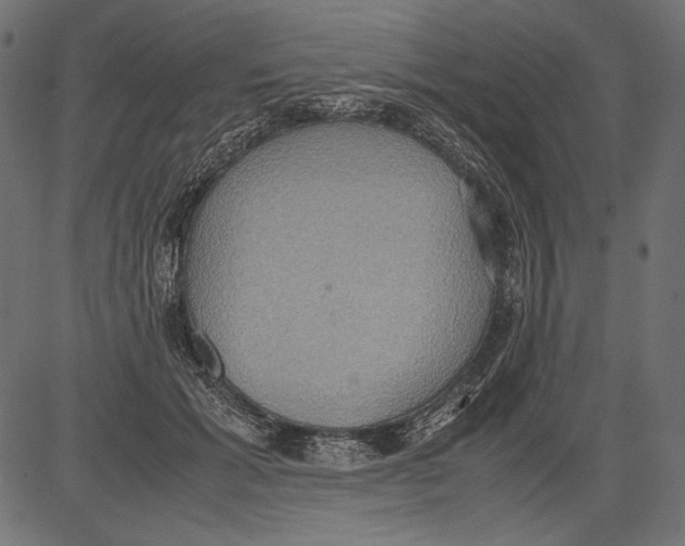 X0000081370605200702020207