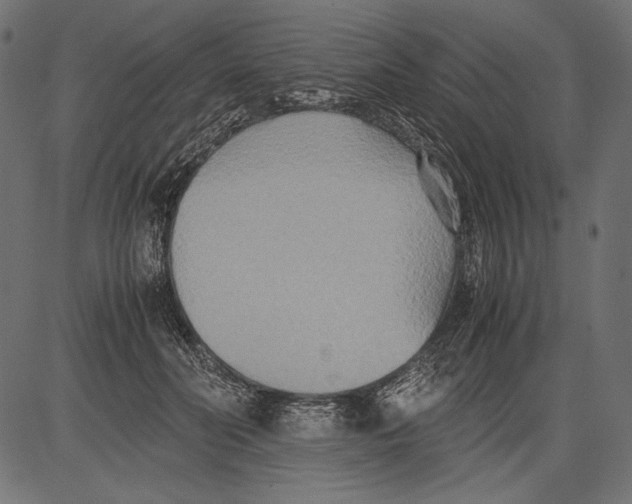 X0000081370606200702020207