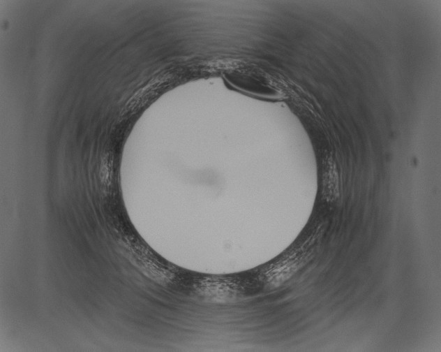 X0000081370608200702020207