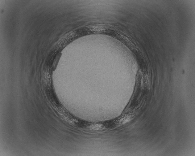 X0000081370609200702020207