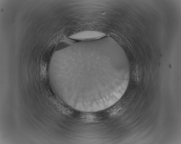 X0000081370610200702020207