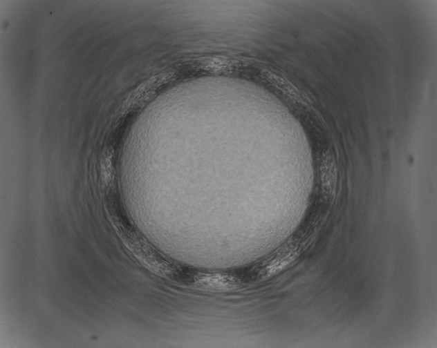 X0000081370611200702020207