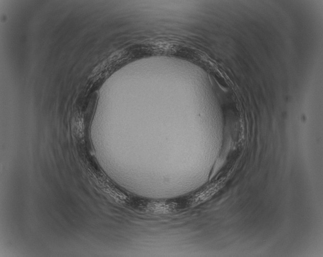 X0000081370613200702020207