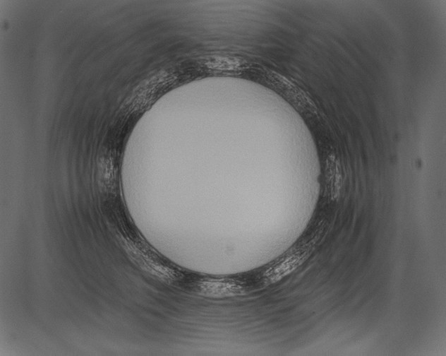 X0000081370614200702020207